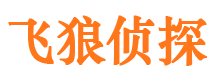 大关外遇出轨调查取证